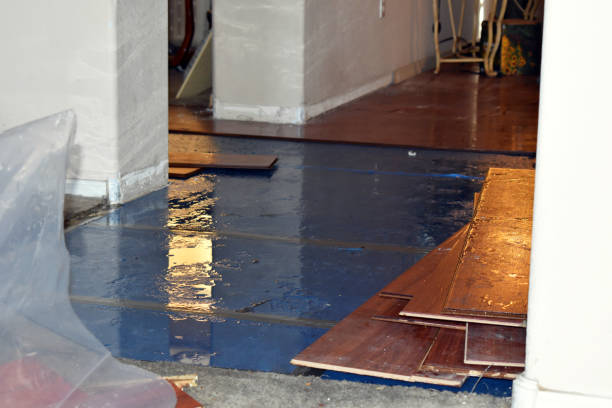 Professional Emergency Water Damage Restoration technician working in Plainfield, OH